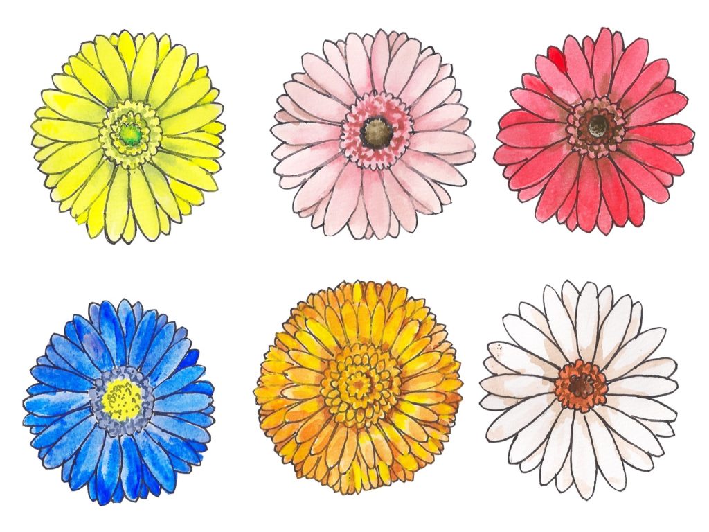 ガーベラの花言葉は色や本数で異なる 花言葉を添えてプレゼントにも モヤモヤすっきり